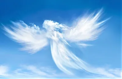 Это интересно. Ангелы в небе: мифы и реальность. | Елена Б. \"Хорошее в  каждом дне\" | Дзен