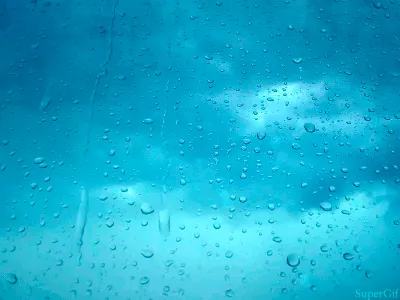 Дождь прекратился... | Пикабу