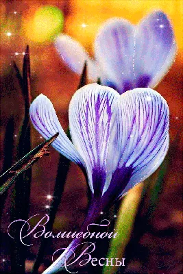Анимированная открытка Вот и Весна gif весна