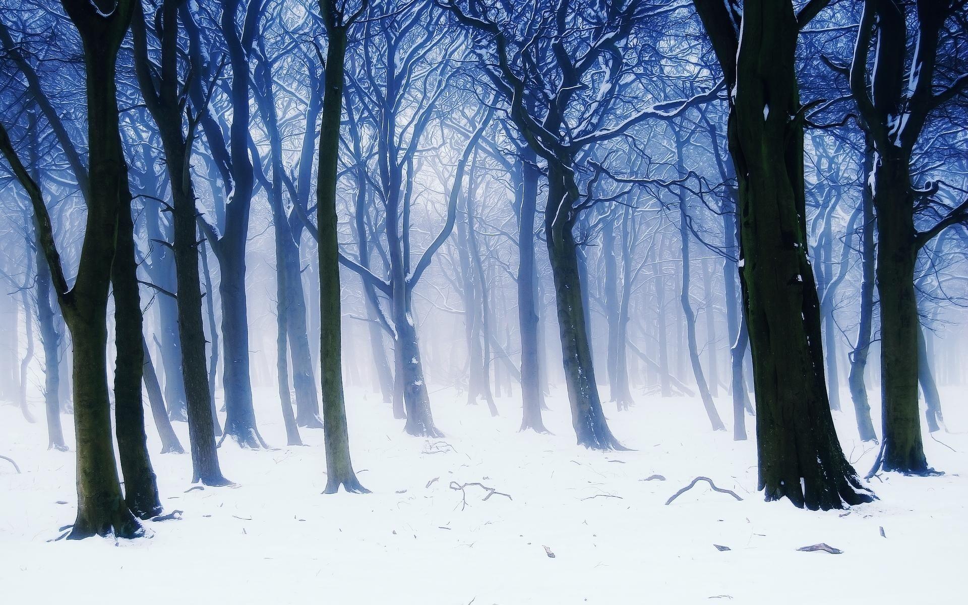 Морозная симфония: GIF рисунки природы зимой | Красивый зимний пейзаж Фото  №1384284 скачать