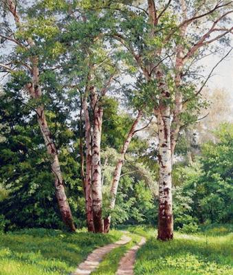 Березовый лес весной - 75 фото