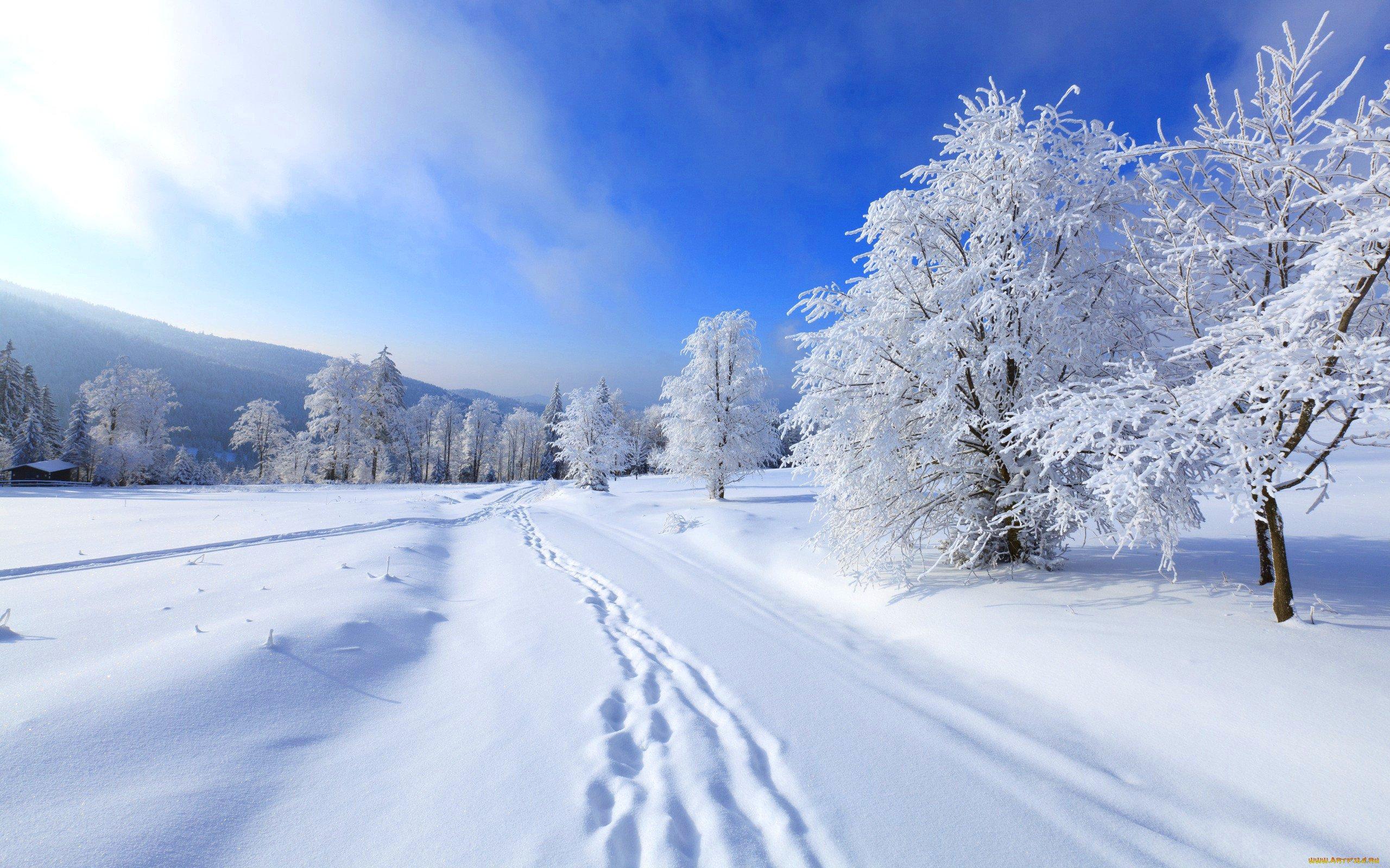 Бесплатные картинки зима фотографии