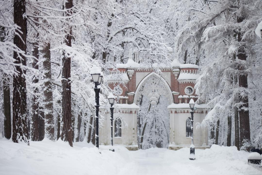 Обои зимняя природа, картинки снежная зима, заснеженный парк, скачать  1920x1080