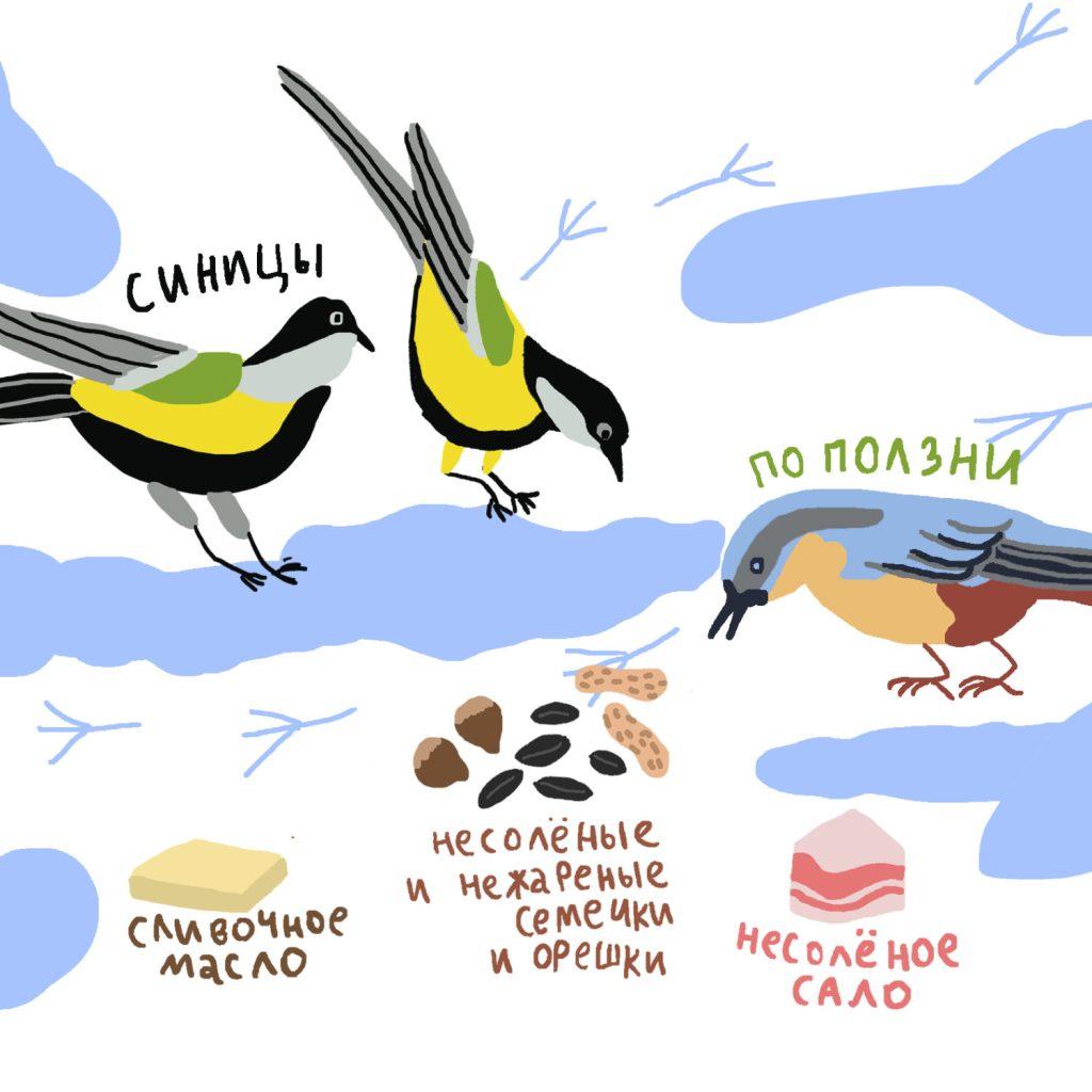 Как покормить птиц зимой и не облажаться. Обновленная #ЭкоГрафика — #МОСЭКО  / #РОСЭКО / #ЭкоДобровольцыМосквы
