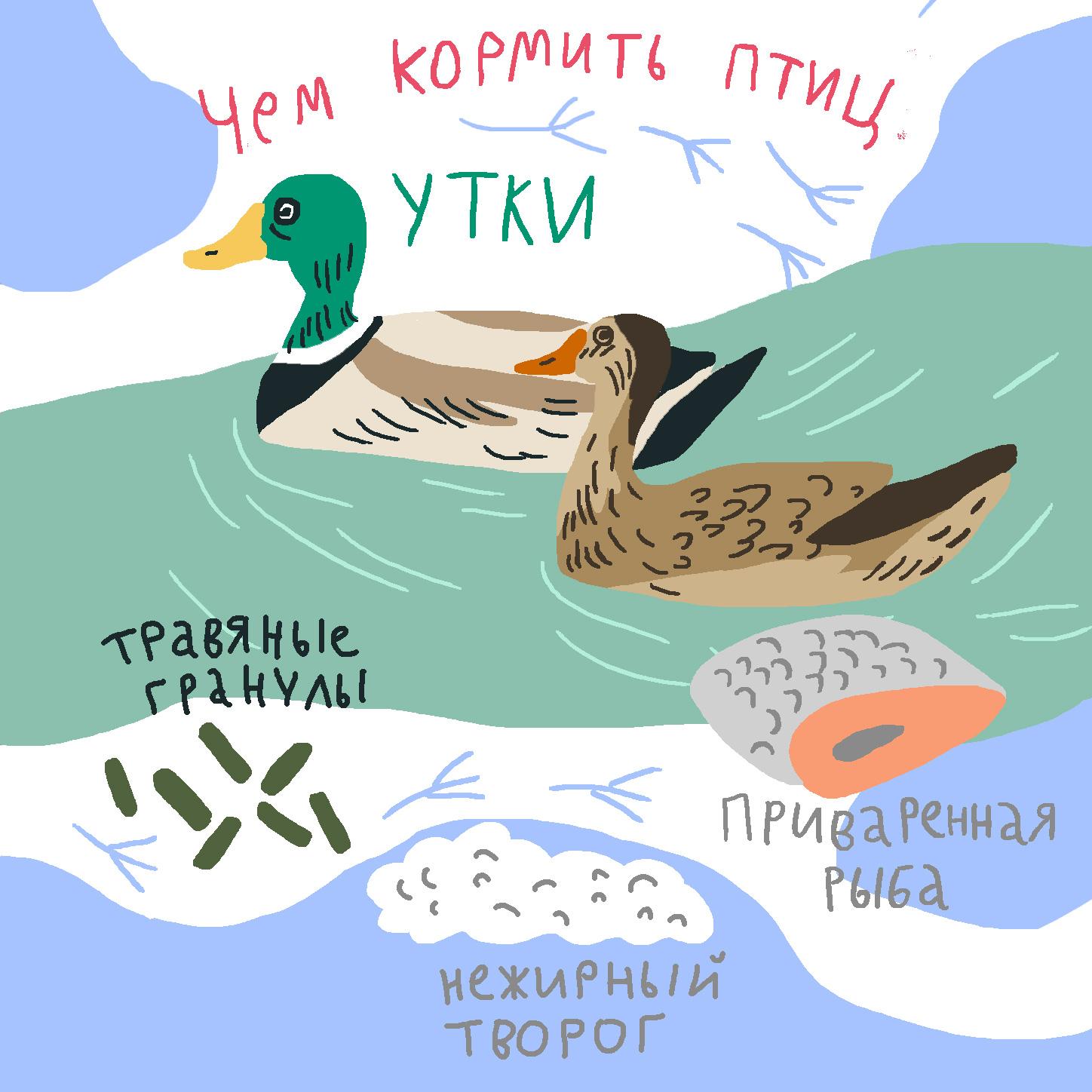 Корм для уличных птиц №4 купить в Москве недорого