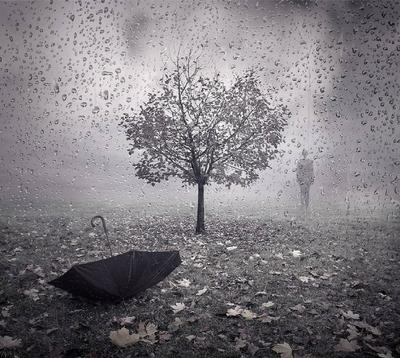 Фото дождь, осень, черно-белые (5 фотографий)
