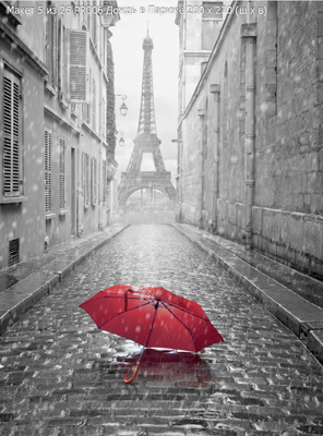 Фотообои Дождь в Париже черно белый купить недорого в компании Cozy House в  СПб