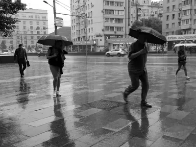 Черно-белый дождь - 15 Октября 2012 - Красивые картинки