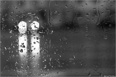 Черно белое дождь (73 фото)