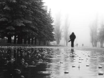 Дождь | Черно-белое фото, Дождь, Современный пейзаж