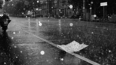Последний дождь июля | Чёрно белые фотографии - Авторский Фотосайт