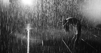 Черно-белый размытый дождь в полу-аниме стиле | Gallery