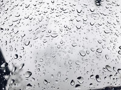 Дождь — стоковые фотографии и другие картинки Без людей - Без людей,  Горизонтальный, Дерево - iStock