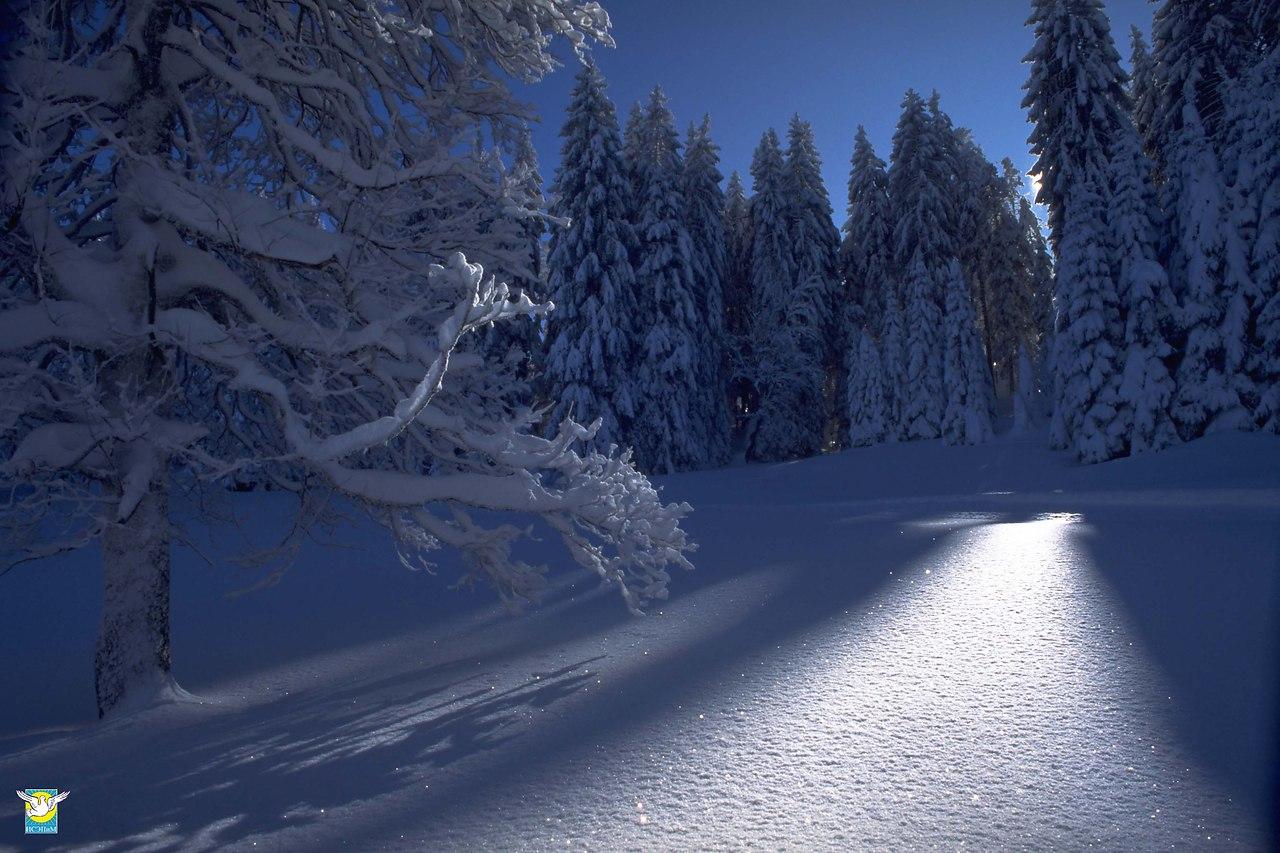 Волшебная зима» — создано в Шедевруме