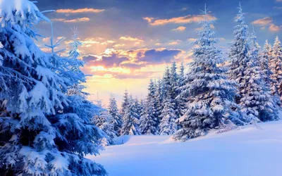 Зима – прекрасное время года | Мир дошколят