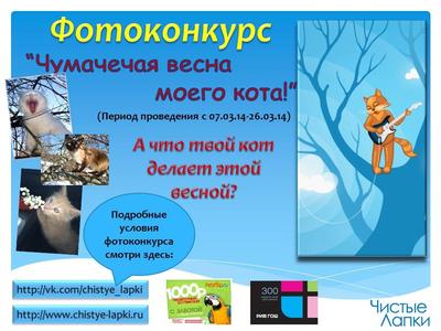 Купить букет «Чумачечая весна» за 5000 руб. с доставкой во Владивостоке -  «ПОП-БОТАНИКА» - «».