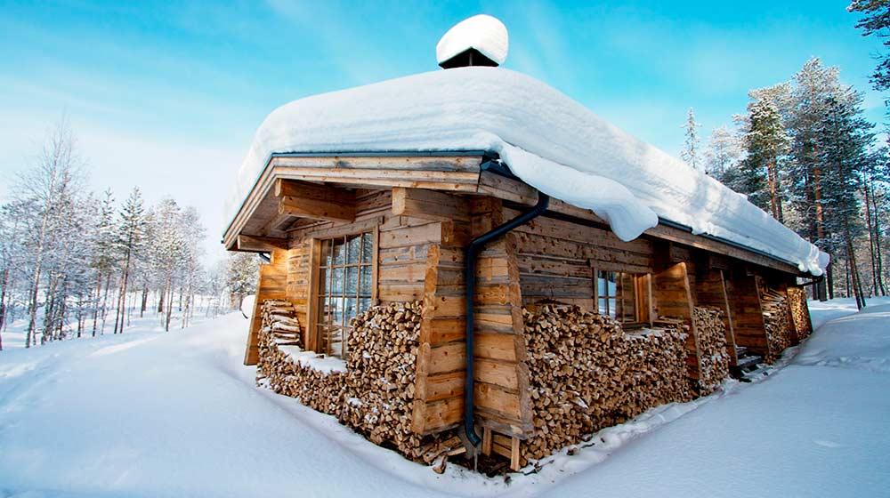 7 идей: чем можно заняться на даче зимой | Дача и огород | Дзен