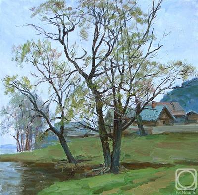 Деревья весной» картина Панова Игоря маслом на холсте — купить на ArtNow.ru
