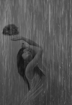 картинки : девушка, дождь, милый, Фото, зонтик, Осень, парк, Погода,  Темнота, Синий, Красоту, радость, Полночь, Скриншот 5500x3094 - - 610895 -  красивые картинки - PxHere