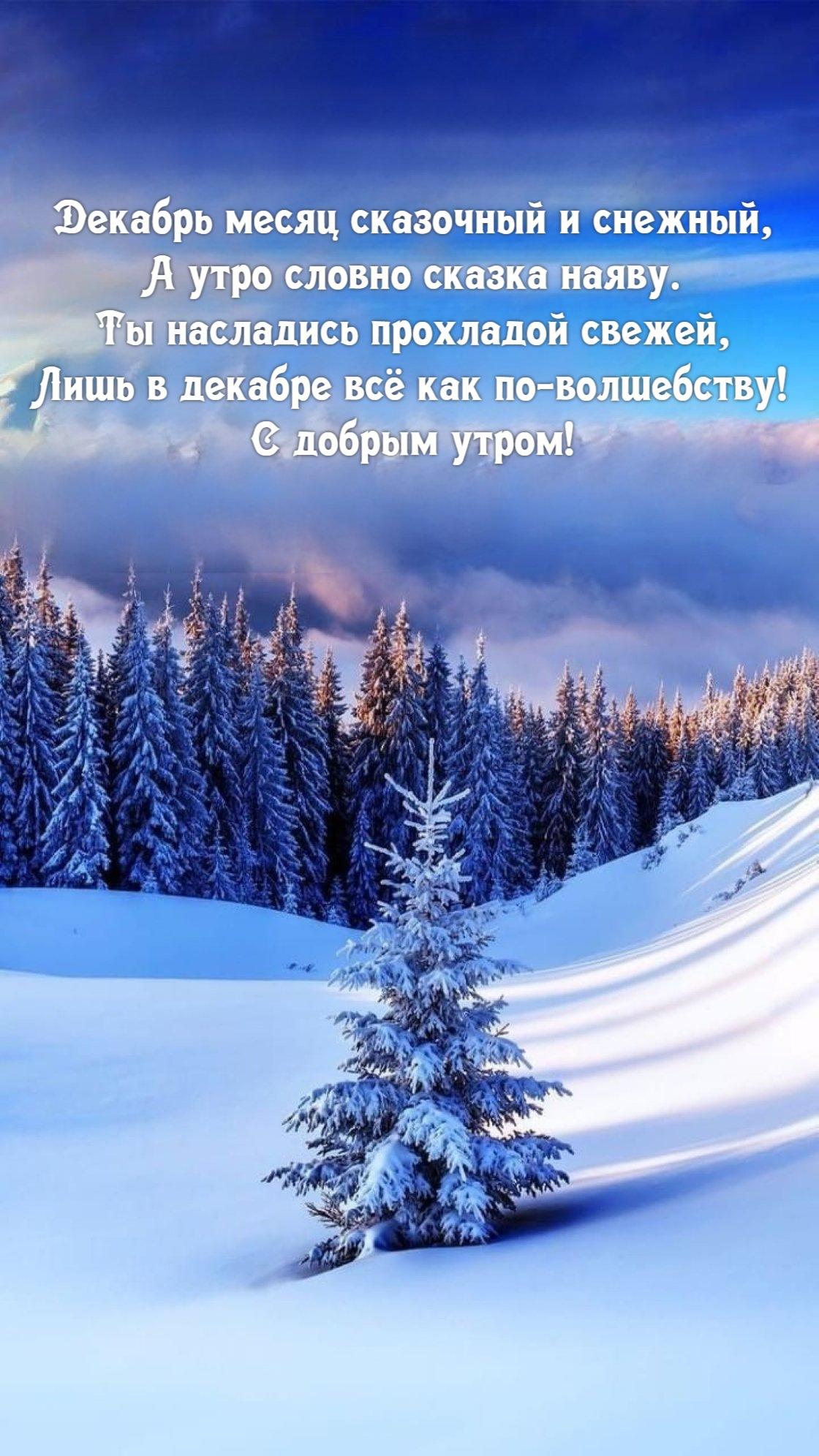доброе зимнее утро волшебный лес: 1 тыс изображений найдено в  Яндекс.Картинках | Зимние цитаты, Доброе утро, Утренние цитаты