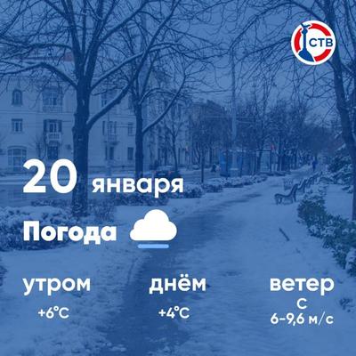 Доброе утро! наш двухдневный дождь превратился сегодня в снег... В связи с  такой безобразной.. | ВКонтакте