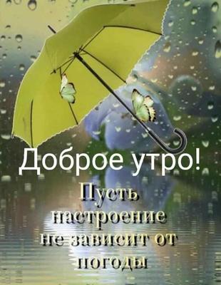 НатальяШаронова - Доброе утро дорогие!!! 💓Всем хорошего дня👌, отличного  настроения,😄 ни смотря на дождь за окном🌧️ В такую погоду хочется тепла и  комфорта🌞. Предлагаю вам уход для ваших волос с чашечкой ароматного