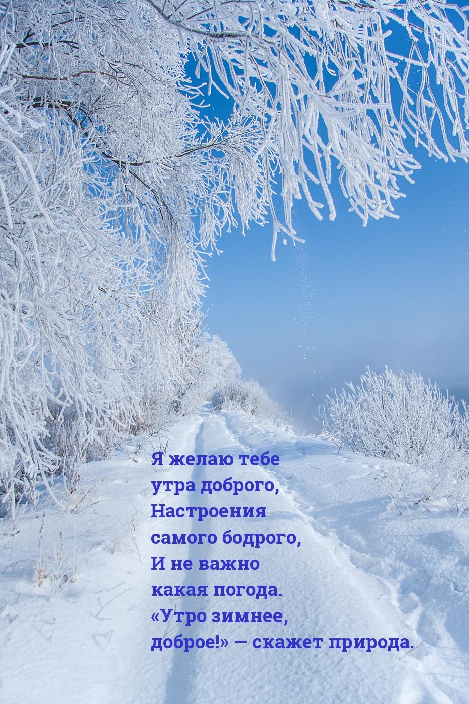 Зимние картинки: Доброго Дня! (177 шт.)