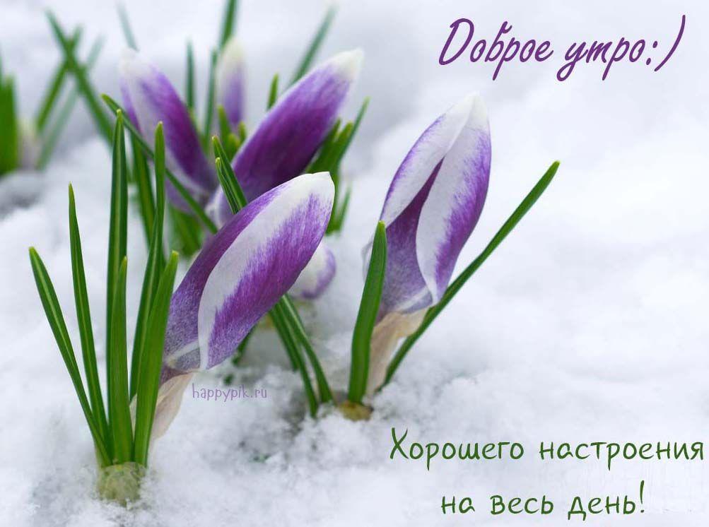 Доброго Утра Весна: Фото, Картинки, Открытки, Фотографии - pictx.ru