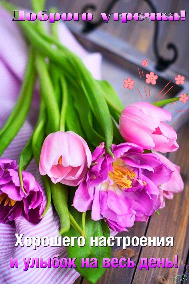 Доброе утро#Суббота#Весна#Хорошего дня#Отличного настроения# Моим друз... |  TikTok