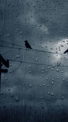 Купить картину Вечерний дождь в Москве от художника Ложкин Артем