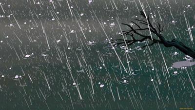 Дождь летом: Прекрасные фотографии в HD качестве | Дождя летом Фото  №1366467 скачать