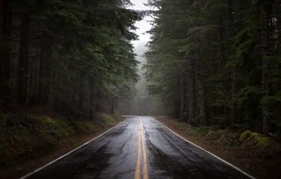Обои дорога, лес, дождь на телефон и рабочий стол, раздел природа,  разрешение 1920x1080 - скачать