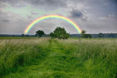 солнечный дождь и радуга стоковое изображение. изображение насчитывающей  лужайка - 231555697