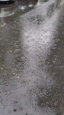 У нас дождь идет | Пикабу