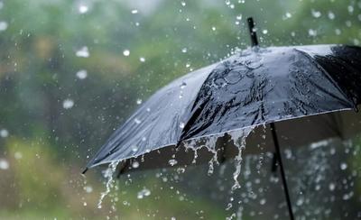 Сколько дней подряд без остановки может идти дождь: отвечают учёные —  Ferra.ru