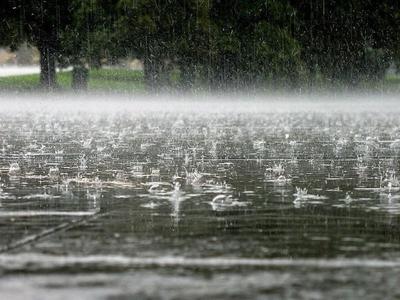 Более 1 420 400 работ на тему «дождь»: стоковые фото, картинки и  изображения royalty-free - iStock