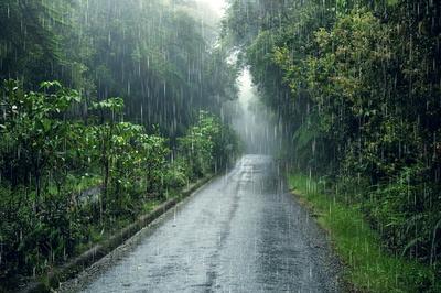 Ночной дождь, атмосферные фотографии! | Журнал PhotoCASA | Дзен