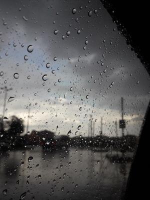 Про весенний дождь | Пикабу