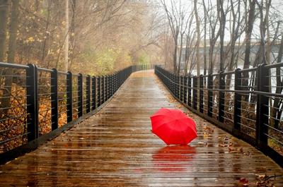 Спокойный красивый дождь спокойный ай | Премиум Фото