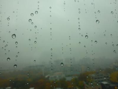 Идеи на тему «Дождь» (110) | дождь, доброе утро, открытки