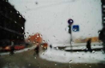 Дождь в декабре - стихотворение (автор: Татьяна Подцветова)