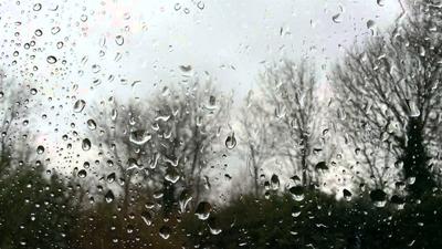 В Краснодарском крае 15 декабря ожидаются очень сильные дожди | ОБЩЕСТВО |  АиФ Краснодар