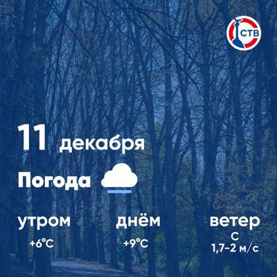 Водители, внимание. В сутки, 10 декабря, на территории Донецкой Народной  Республики ожидается мокрый снег, дождь, гололёд, на дорогах гололедица,  порывы ветра до 18 м/с - Лента новостей ДНР