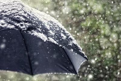 До -5, снег с дождем и гололедица: о погоде в Беларуси на 12-17 декабря -  DZR.BY