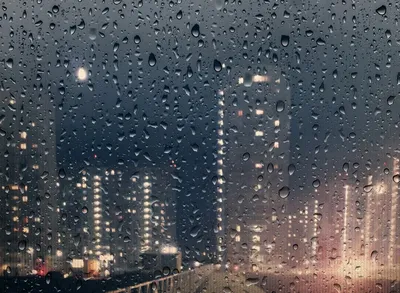 Дождь в городе» картина Савельевой Елены (картон, масло) — купить на  ArtNow.ru