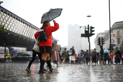 Insight Lingua on X: \"Дождливый Лондон как особый вид искусства  #ИнсайтЛингва #путешествия #великобритания #лондон #дождь  https://t.co/2nxffonQFJ\" / X