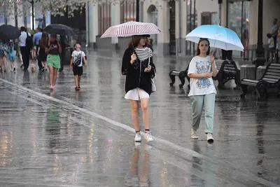 Как Москва переживает непогоду: онлайн-репортаж, когда закончатся дожди в  Москве и будет тепло, аномально жаркое лето, похолодание, погода в Москве,  скользкая дорога, большая лужа - 14 июля 2023 - МСК1.ру