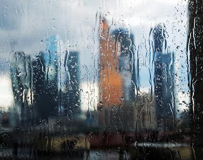 В Москве 20 сентября прогнозируют самый обильный за 73 года дождь — Новый  Тамбов