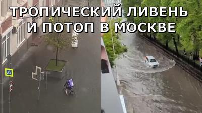 В Москве в пятницу ожидаются +28 и тропический ливень :: Новости :: ТВ Центр
