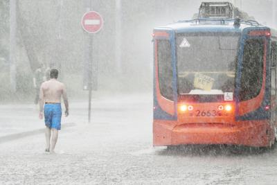 В Москве начался мощный дождь и ветер порывом 21 м. в секунду — Главные новости  Москвы, России и мира